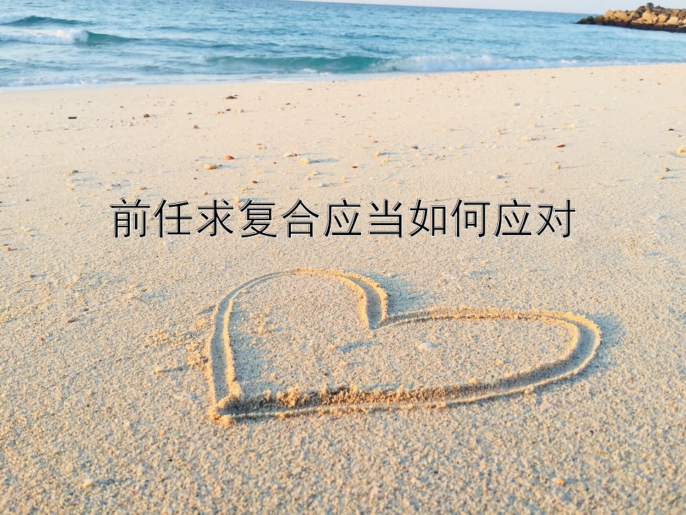 前任求复合应当如何应对