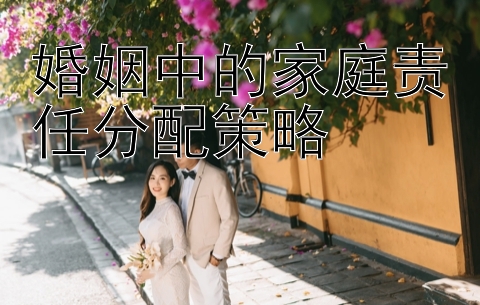 婚姻中的家庭责任分配策略