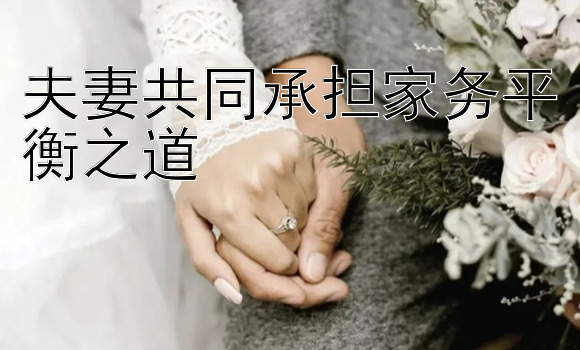 夫妻共同承担家务平衡之道