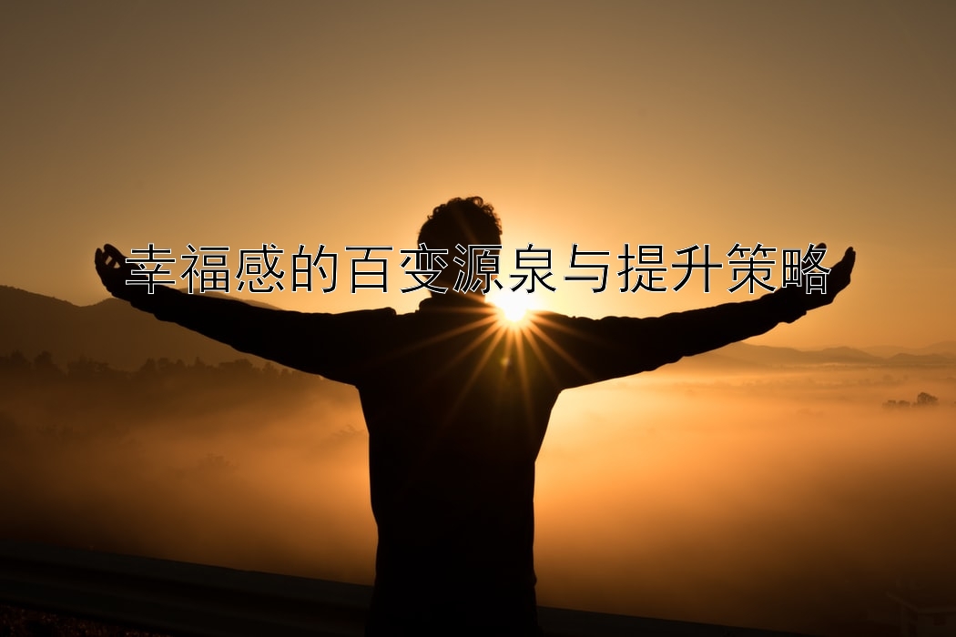 幸福感的百变源泉与提升策略