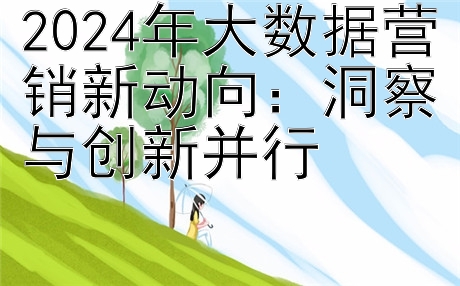 2024年大数据营销新动向：洞察与创新并行