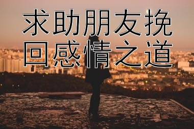 求助朋友挽回感情之道