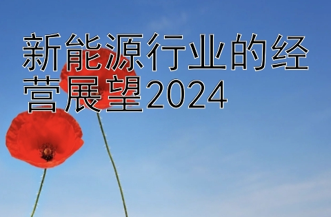 新能源行业的经营展望2024